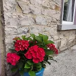 Moymore * Lahinch
