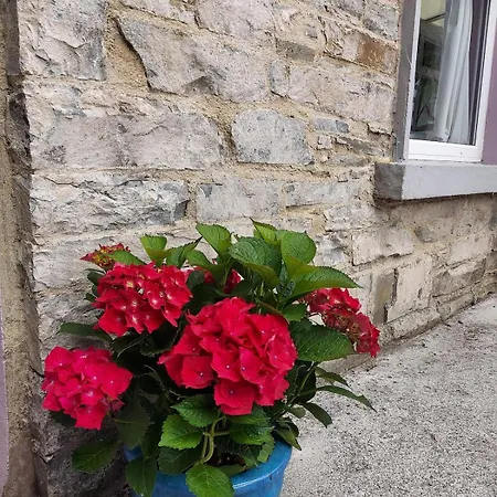 Moymore * Lahinch