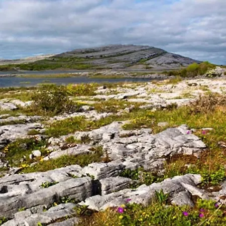 Moymore 펜션 라힌치