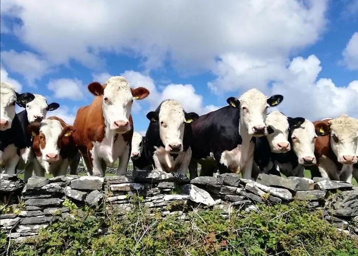 Moymore Casa vacanze *